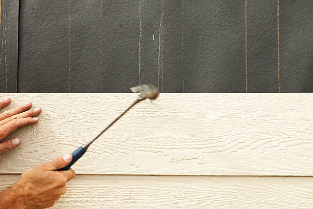 Best Fiber Cement Siding Installation  in Bliss Corner, MA